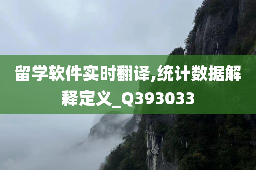 留学软件实时翻译,统计数据解释定义_Q393033