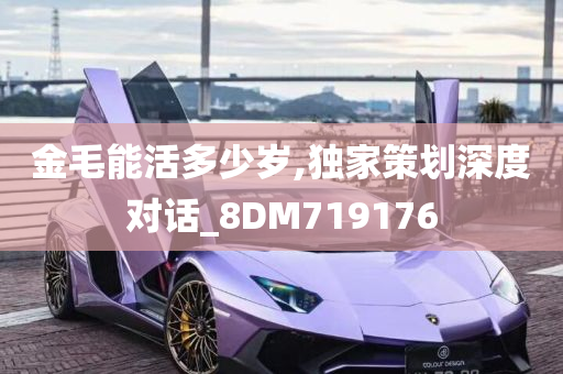 金毛能活多少岁,独家策划深度对话_8DM719176