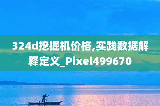 324d挖掘机价格,实践数据解释定义_Pixel499670