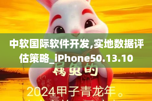 中软国际软件开发,实地数据评估策略_iPhone50.13.10