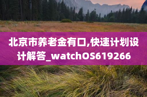 北京市养老金有口,快速计划设计解答_watchOS619266