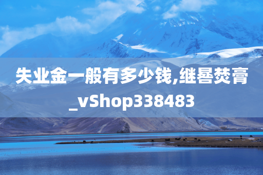 失业金一般有多少钱,继晷焚膏_vShop338483