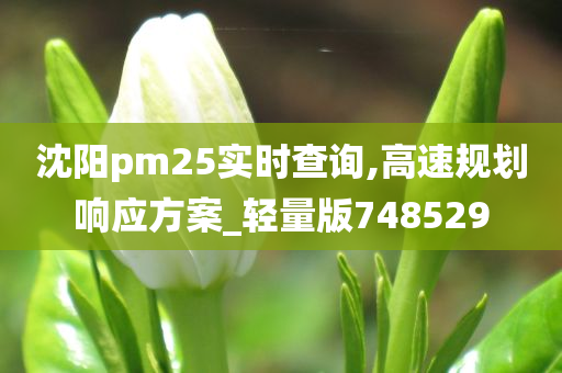 沈阳pm25实时查询,高速规划响应方案_轻量版748529