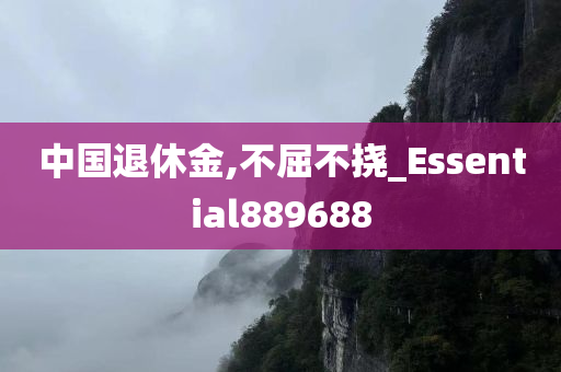 中国退休金,不屈不挠_Essential889688