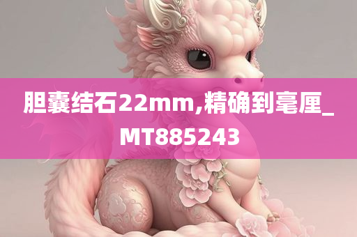 胆囊结石22mm,精确到毫厘_MT885243