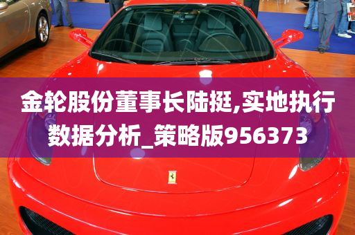 金轮股份董事长陆挺,实地执行数据分析_策略版956373