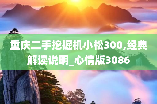 重庆二手挖掘机小松300,经典解读说明_心情版3086