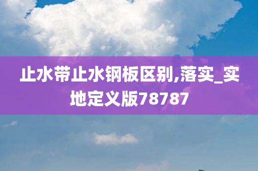 止水带止水钢板区别,落实_实地定义版78787