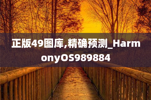 正版49图库,精确预测_HarmonyOS989884