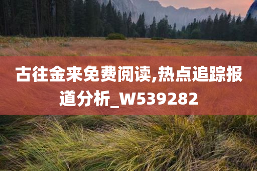 古往金来免费阅读,热点追踪报道分析_W539282