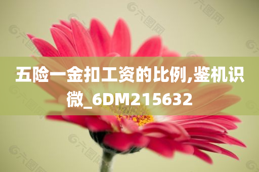 五险一金扣工资的比例,鉴机识微_6DM215632