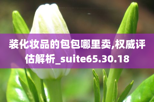 装化妆品的包包哪里卖,权威评估解析_suite65.30.18