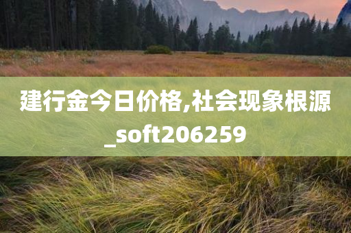 建行金今日价格,社会现象根源_soft206259