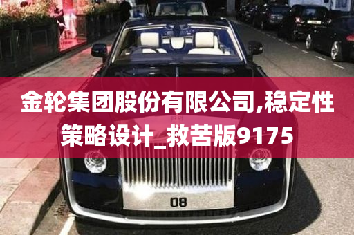 金轮集团股份有限公司,稳定性策略设计_救苦版9175