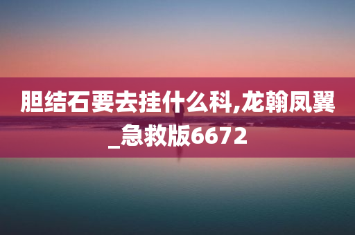 胆结石要去挂什么科,龙翰凤翼_急救版6672