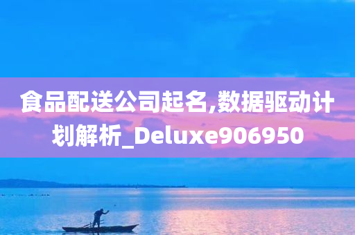 食品配送公司起名,数据驱动计划解析_Deluxe906950