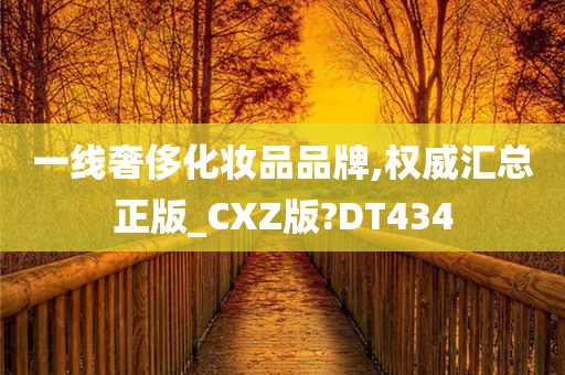 一线奢侈化妆品品牌,权威汇总正版_CXZ版?DT434