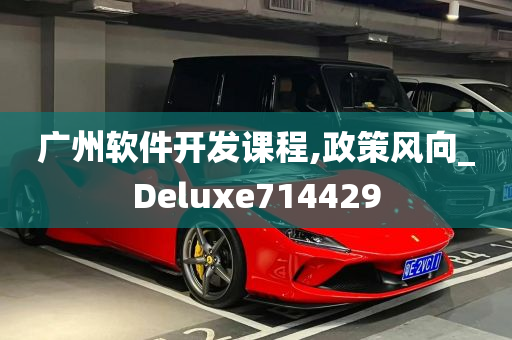 广州软件开发课程,政策风向_Deluxe714429