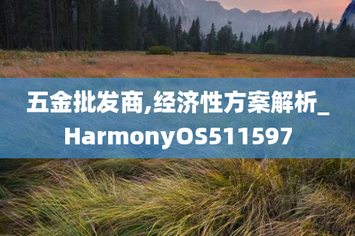 五金批发商,经济性方案解析_HarmonyOS511597