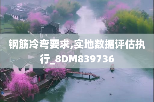 钢筋冷弯要求,实地数据评估执行_8DM839736