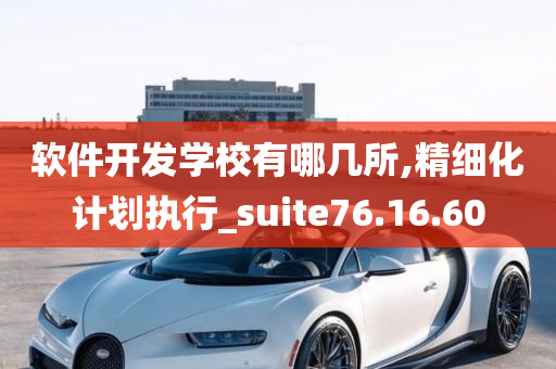 软件开发学校有哪几所,精细化计划执行_suite76.16.60