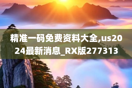 精准一码免费资料大全,us2024最新消息_RX版277313