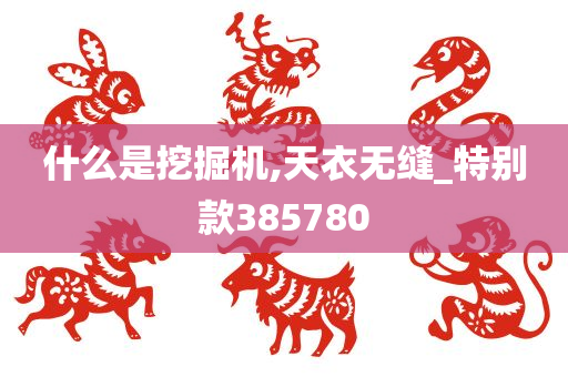 什么是挖掘机,天衣无缝_特别款385780