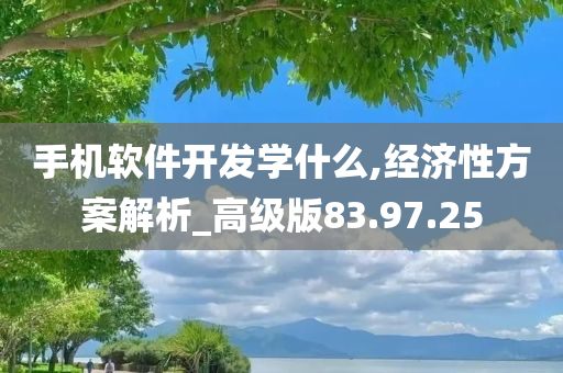 手机软件开发学什么,经济性方案解析_高级版83.97.25