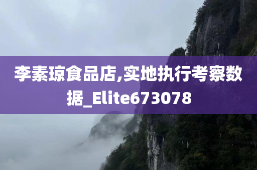 李素琼食品店,实地执行考察数据_Elite673078