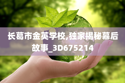 长葛市金英学校,独家揭秘幕后故事_3D675214