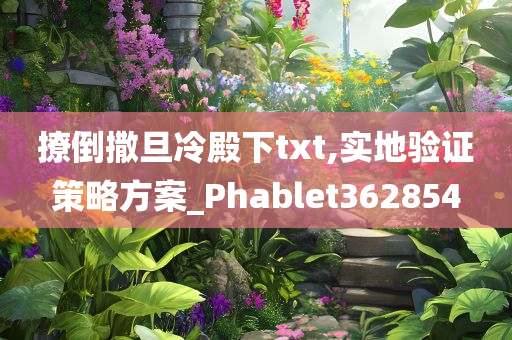 撩倒撒旦冷殿下txt,实地验证策略方案_Phablet362854