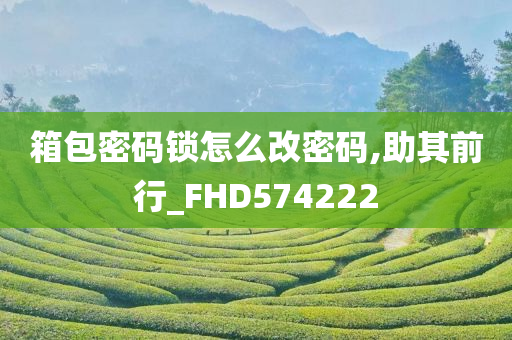 箱包密码锁怎么改密码,助其前行_FHD574222