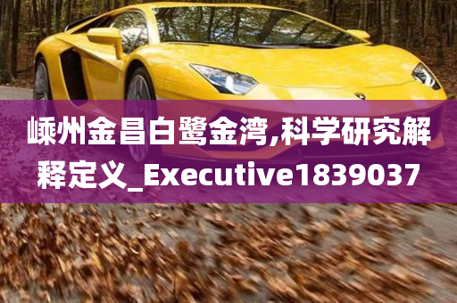 嵊州金昌白鹭金湾,科学研究解释定义_Executive1839037