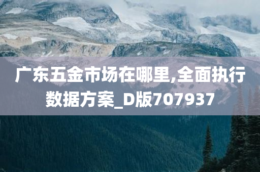 广东五金市场在哪里,全面执行数据方案_D版707937