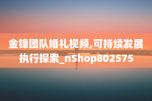 金锋团队婚礼视频,可持续发展执行探索_nShop802575