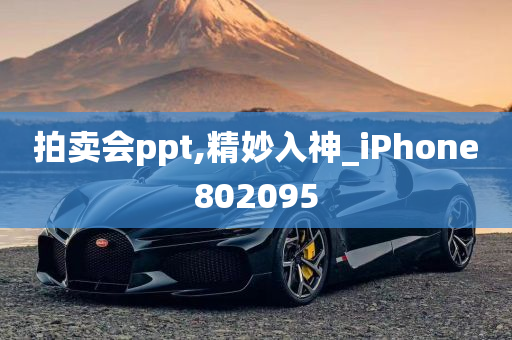 拍卖会ppt,精妙入神_iPhone802095