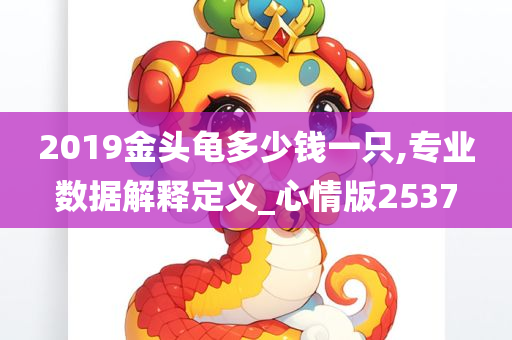 2019金头龟多少钱一只,专业数据解释定义_心情版2537