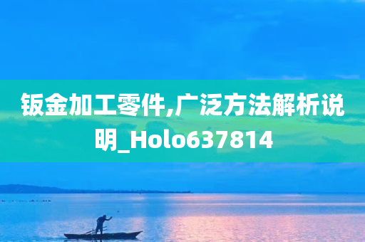 钣金加工零件,广泛方法解析说明_Holo637814