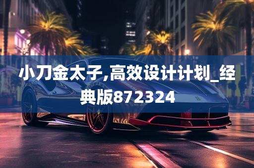 小刀金太子,高效设计计划_经典版872324