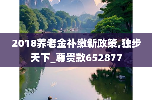 2018养老金补缴新政策,独步天下_尊贵款652877