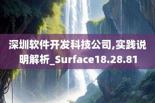 深圳软件开发科技公司,实践说明解析_Surface18.28.81