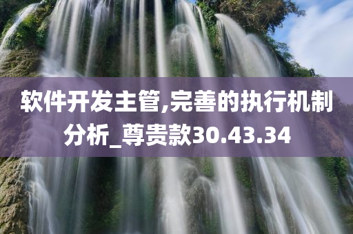 软件开发主管,完善的执行机制分析_尊贵款30.43.34