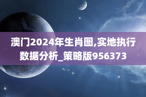 澳门2024年生肖图,实地执行数据分析_策略版956373