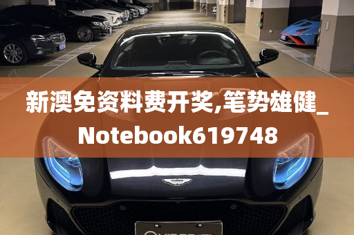 新澳免资料费开奖,笔势雄健_Notebook619748