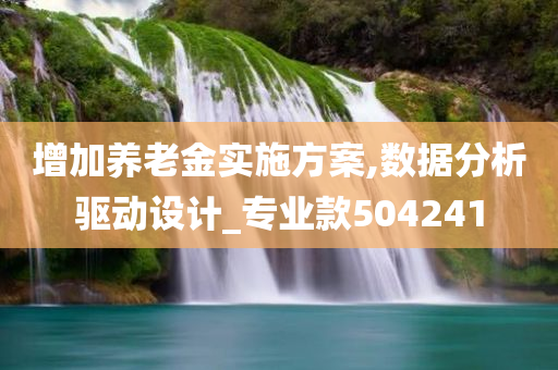 增加养老金实施方案,数据分析驱动设计_专业款504241