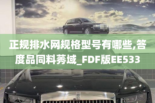 正规排水网规格型号有哪些,答度品同料莠域_FDF版EE533