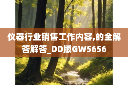 仪器行业销售工作内容,的全解答解答_DD版GW5656