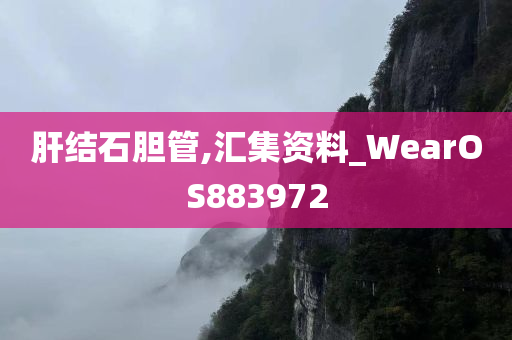 肝结石胆管,汇集资料_WearOS883972