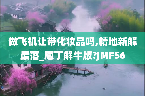 做飞机让带化妆品吗,精地新解最落_庖丁解牛版?JMF56