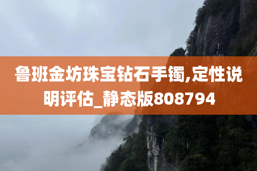 鲁班金坊珠宝钻石手镯,定性说明评估_静态版808794